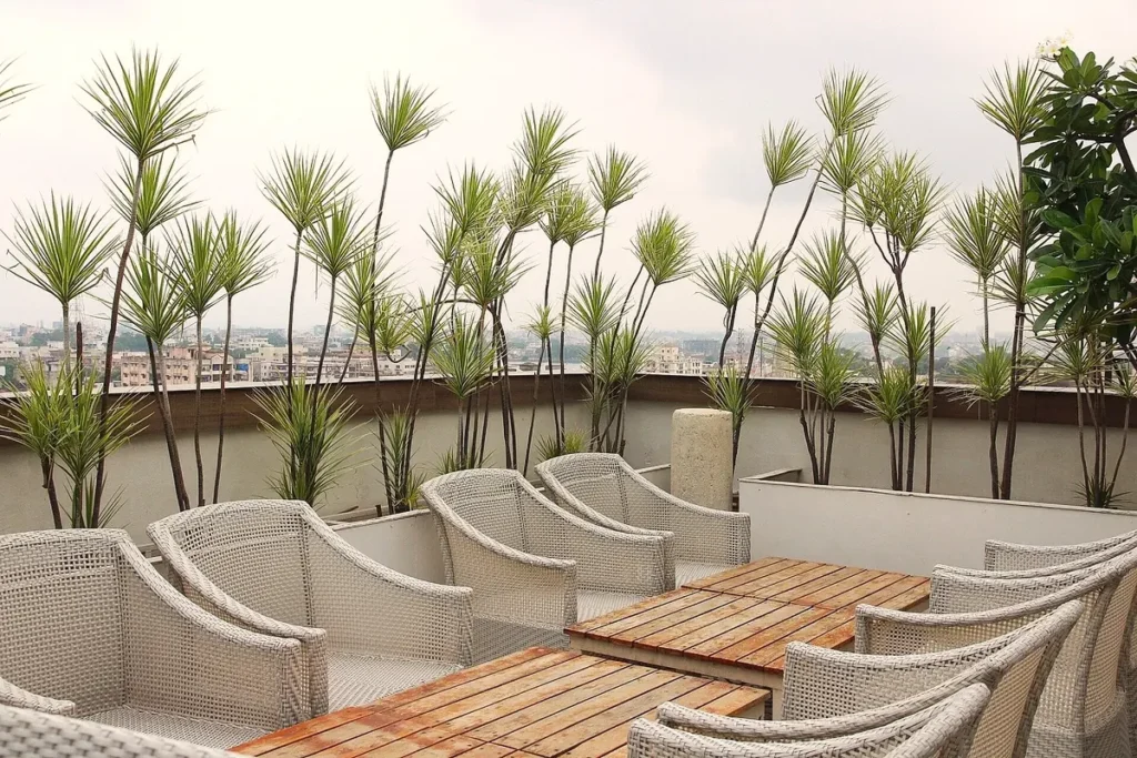 Prana Bar & Kitchen — Ranchi’s Most-Reviewed Rooftop Restaurant